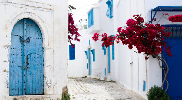 istock Blue doors, window and white wall of building in Sidi Bou Said 1286156041