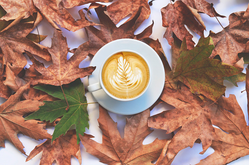 A cup of coffee with cappuccino and autumn leaves on white background. Autumn decor, fall mood, autumn still life.