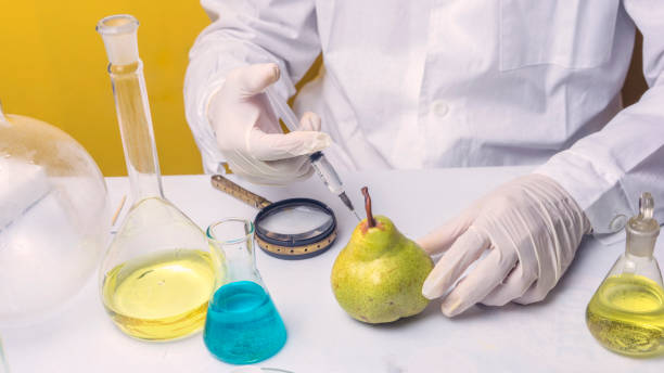 experto en nutrición probando productos alimenticios en laboratorio. inspector de seguridad alimentaria probando fruta del mercado. - food crop sprayer insecticide dna fotografías e imágenes de stock