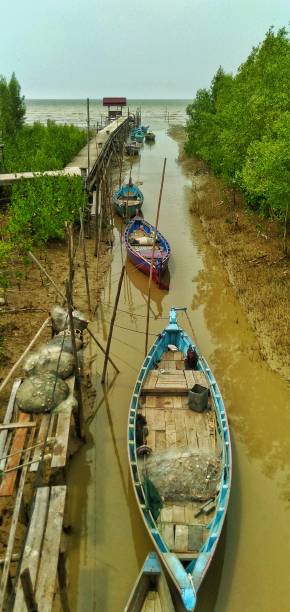 istock Boat on the mangrove forest 1286160099