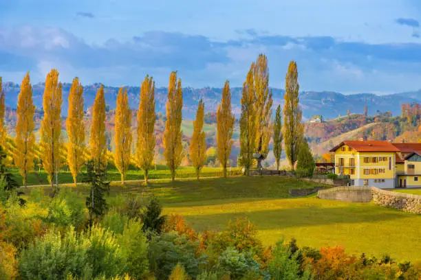 Photo of Autumn landscape with South Styria vineyards, known as Austrian Tuscany, a charming region on the border between Austria and Slovenia with rolling hills, picturesque villages and wine taverns