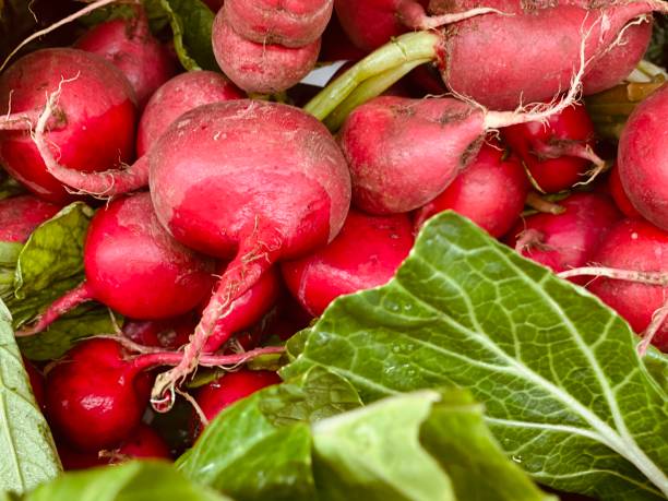 istock Fresh fruits and vegetables 1286167950