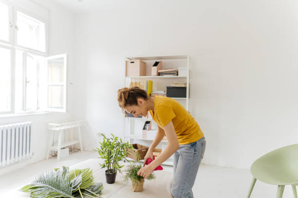 istock Going green in my new place 1286168228