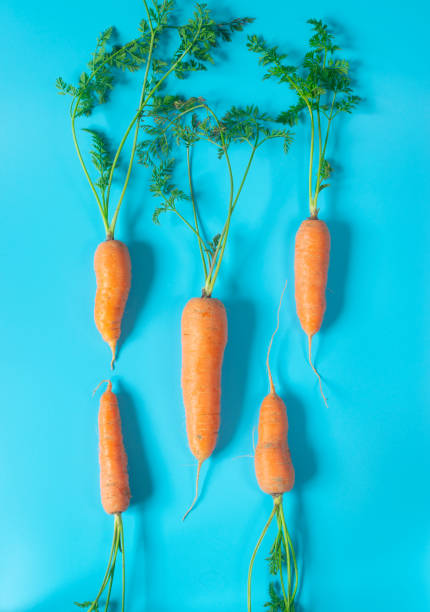 istock Fresh, organic carrots on light blue background 1286170095