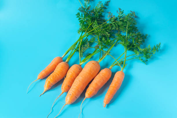 istock Fresh, organic carrots on light blue background 1286170655