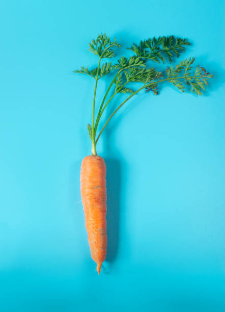 istock Fresh, organic carrots on light blue background 1286170658