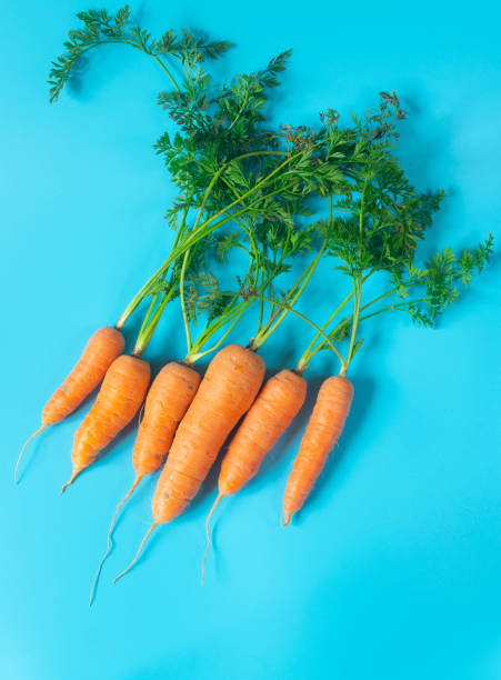 istock Fresh, organic carrots on light blue background 1286170669