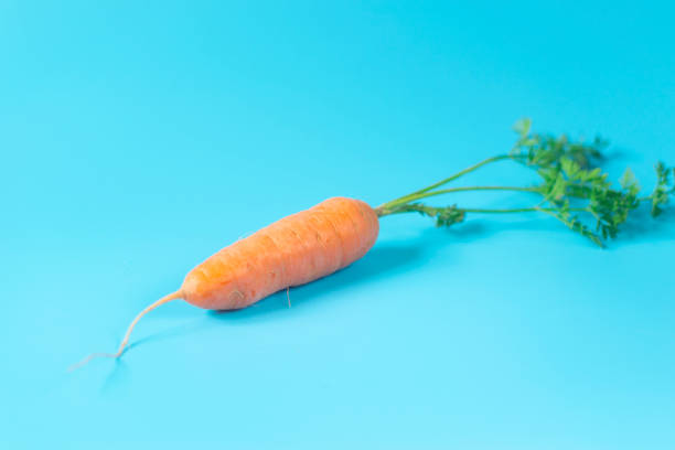 istock Fresh, organic carrots on light blue background 1286170842