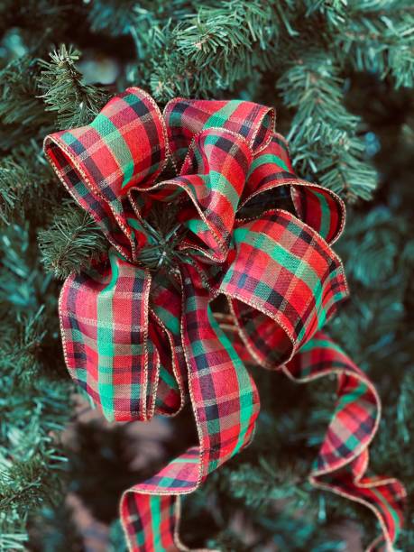 istock Christmas holiday season greenery plants 1286170987