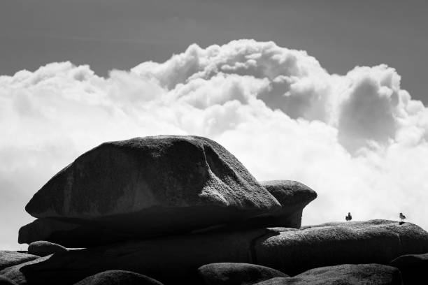 Interesting rock formation (turtle) on Pink Granite Coast in northern Brittany (France), on a sunny day in summer