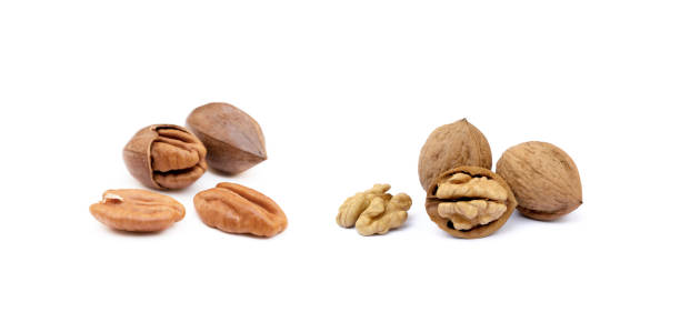 istock Pile of pecan and walnuts 1286175687