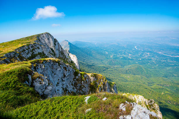 istock Dry Mountain or Suva Planina, Serbia 1286182056