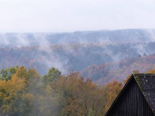 istock Autumnal motif 1286184437