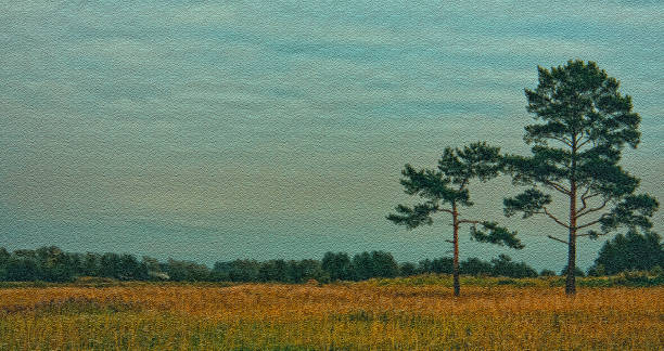 istock Nature landscape is forest and grass. Beautiful 1286185758