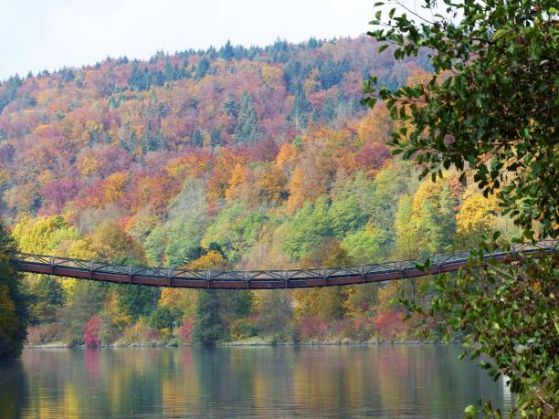 holzbrücke über den main-donau-kanal, essing, deutschland, bayern, niederbayern - essing stock-fotos und bilder