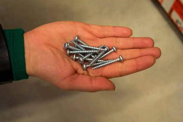 Person display handful the steel pan-head screws on the palm of the hand