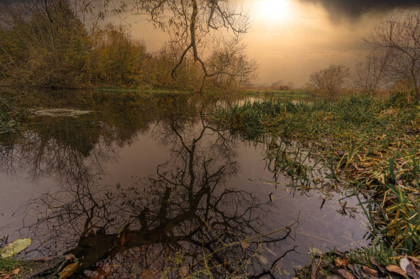 istock Reflections in a river with a dramatic sunset in the background. Picture from Scania county, southern Sweden. 1286187867