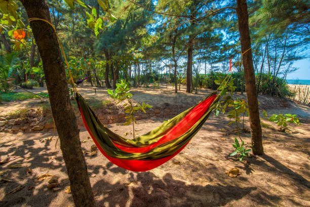 istock Hammock ( red and green ) in small forect close to Nirvana beach . Kumta district 1286188715