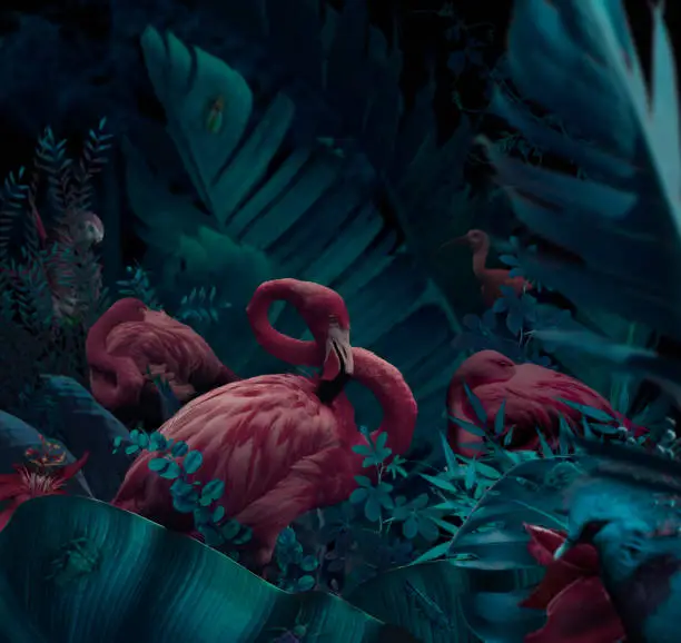 Photo of Sleeping pink flamingos