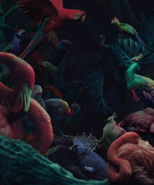 istock Wild birds in night jungle 1286190236