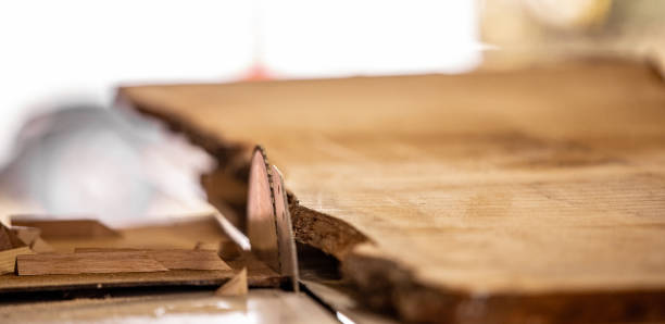 Plank With Live Edge Lying By Circular Saw
