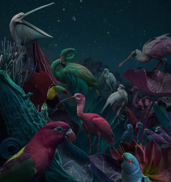 диких птиц в природе - group of animals animal bird flamingo стоковые фото и изображения