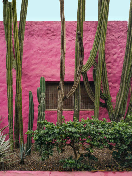 istock Mexican flowered house facade 1286193312