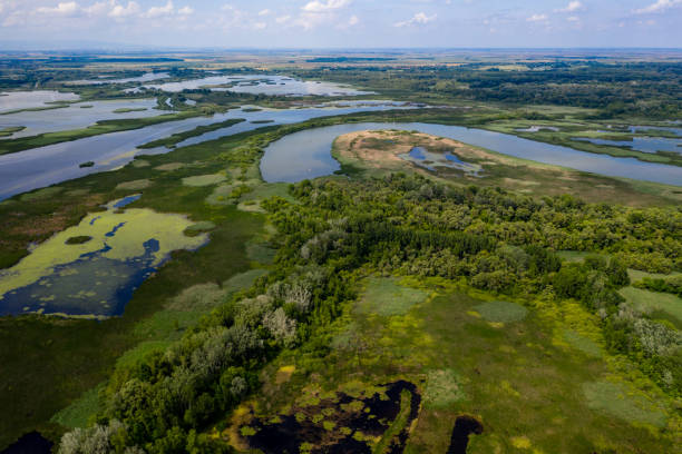 istock aerial view marsh in hungary 1286196999