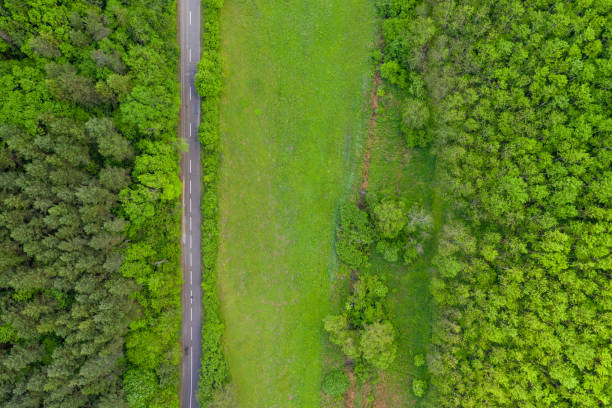 istock top view straight way in summer 1286197803