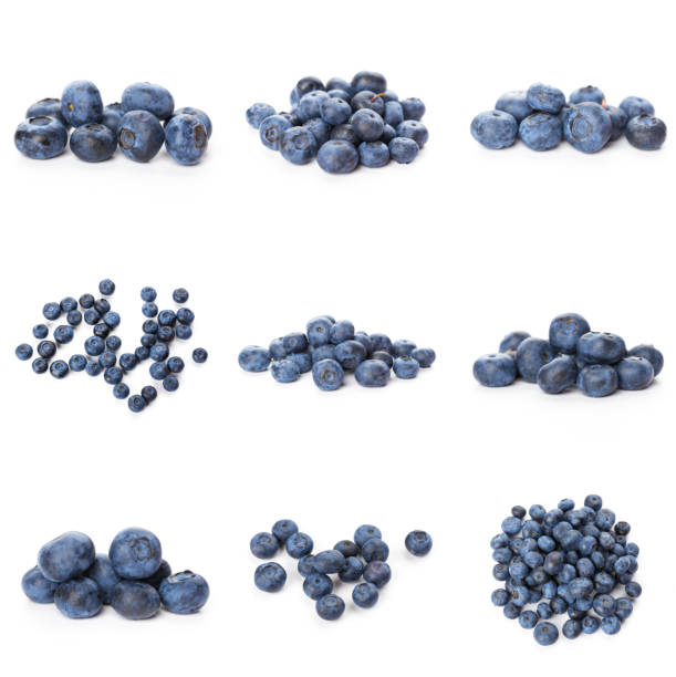 istock Blueberries set isolated on white background. Bilberry. Clipping path. 1286198050