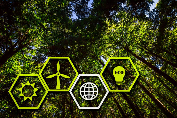 istock Sustainabilty and Green Energy Concept 1286199016