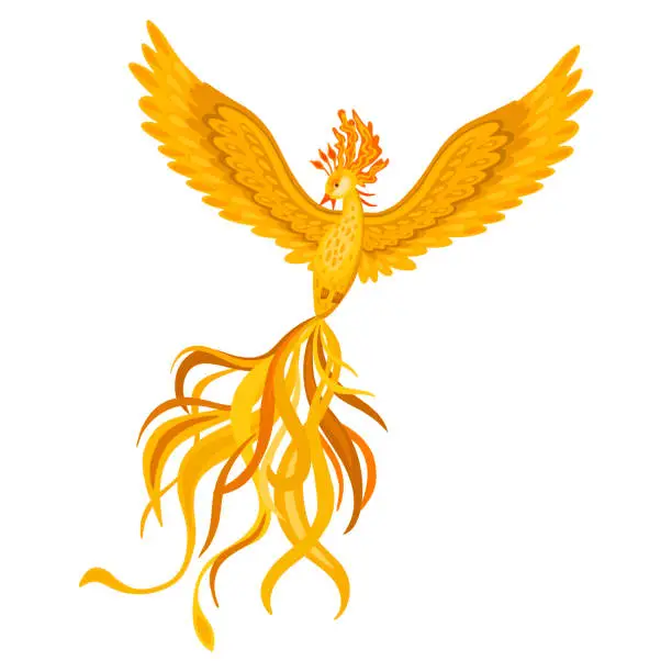 Vector illustration of Hand drawn phoenix fire bird. Vector illustration