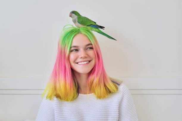 Trendy fashionable with colored hairstyle teenager with green parrot on head Trendy fashionable with brightly colored hairstyle teenager with green young parrot quaker on his head, friendship of teen girl and bird, lifestyle of teenager and pet monk parakeet stock pictures, royalty-free photos & images