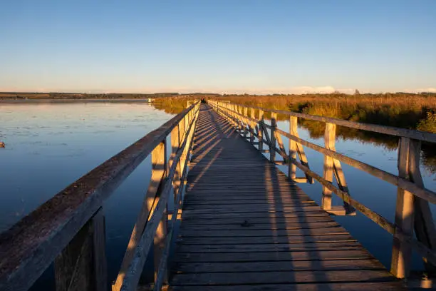 Federsee