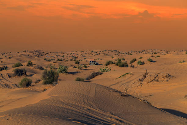 istock desert safari tire prints in sand. 1286206184