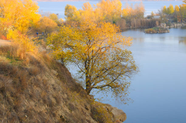 istock Yellow autumn maple on a steep slope by the river 1286206751