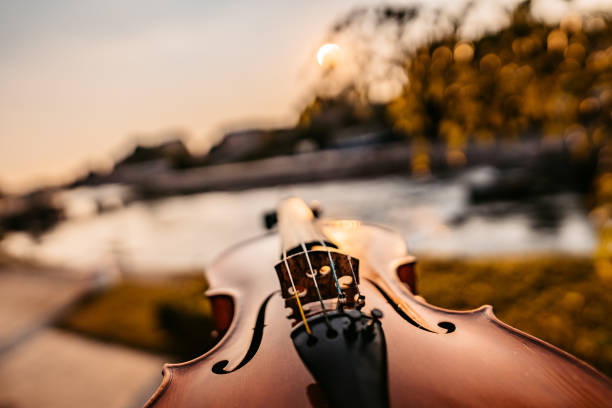 istock Violin outdoors 1286206878