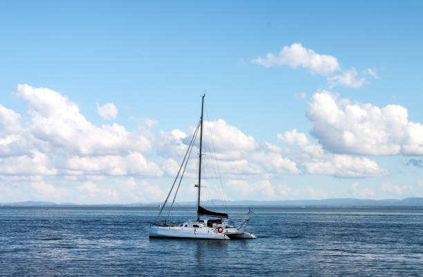 istock Catamaran yacht on ocean with mountains on shore on horizon under blue sky with clouds 1286207984