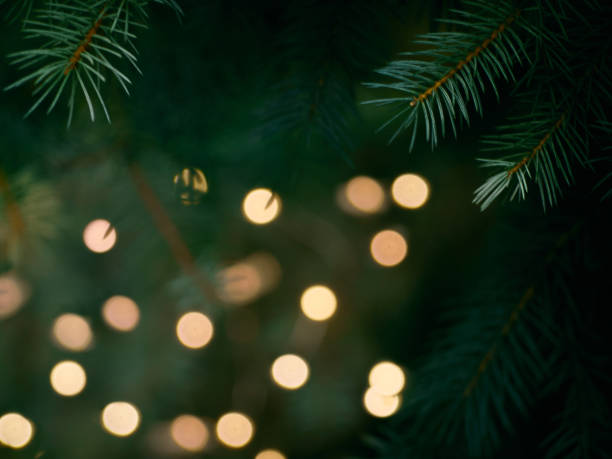 istock Christmas fir branches with garland defocused lights 1286210397