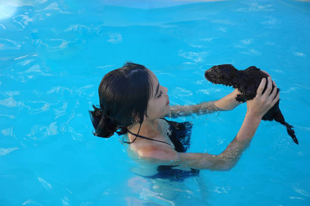 playing in the courtyard of the house with pool