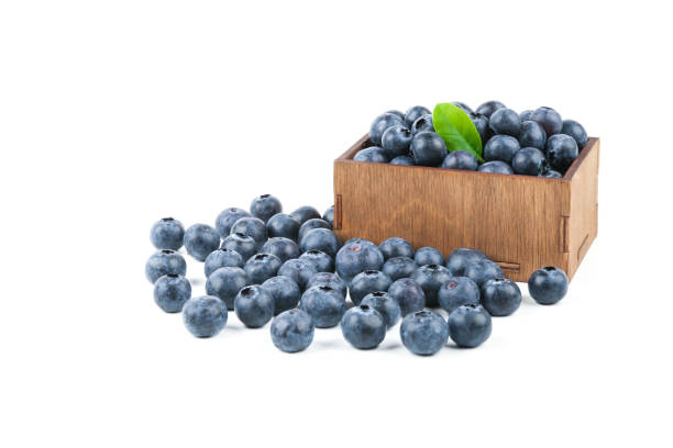 istock blueberries with green leaves 1286214629