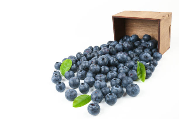istock blueberries with green leaves 1286214643