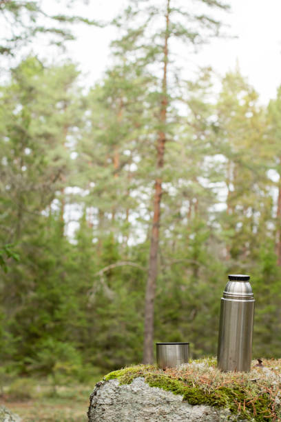 istock Early morning coffee break outdoors in the forest 1286219018
