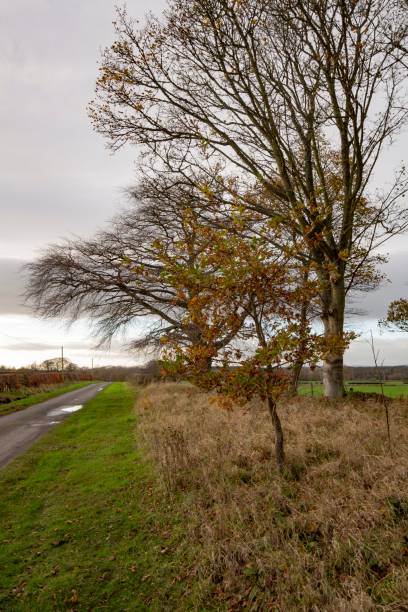istock Northumberland Autumn Countryside. 1286219866