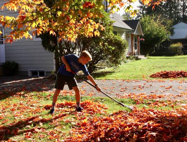 istock Young Boy Raking Leaves 1286225217