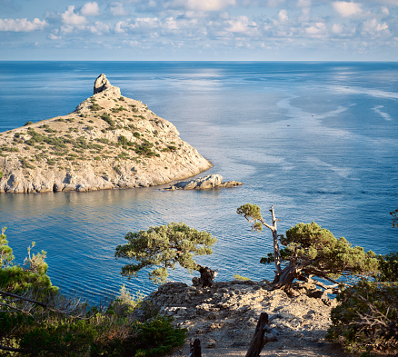 Old juniper trees growing on rock, blue sea and sky, Crimea
