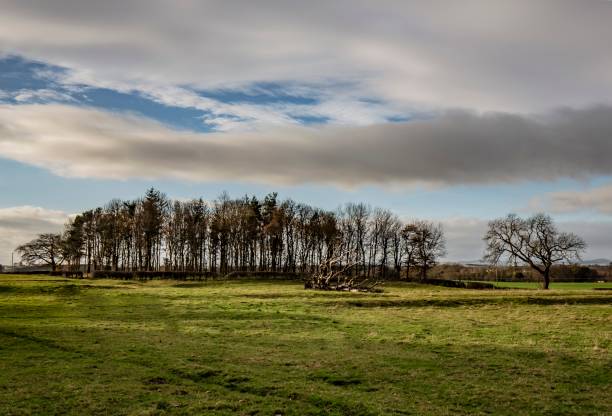 istock Autumn Woodlands. 1286227775