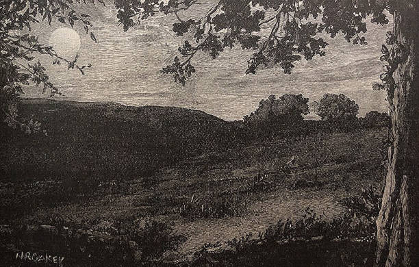 ilustrações, clipart, desenhos animados e ícones de ilustração antiga - luar sobre um prado com uma árvore em primeiro plano - antique engraved image moonlight night