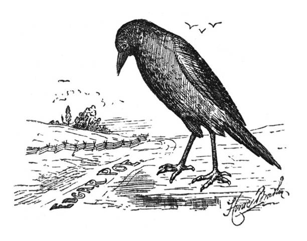 Antique illustration - large black crow looking down at a road with the words Edgar Poe written on it Antique illustration edgar allan poe stock illustrations