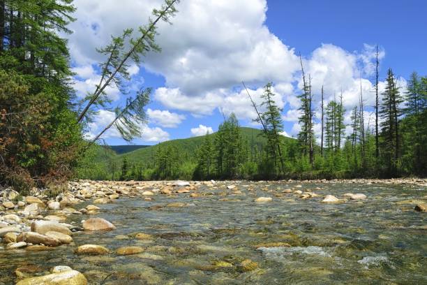 istock Summer day on the mountain river. 1286235467